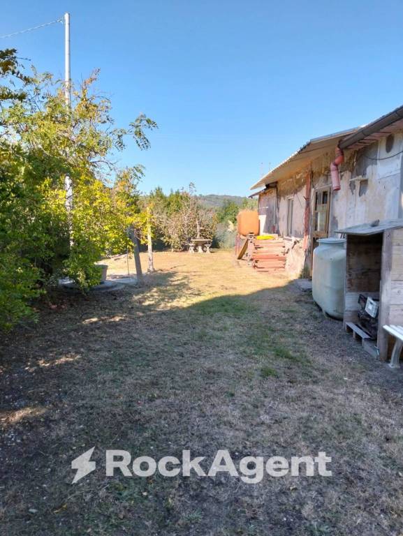 immagine annuncio 9 di 12