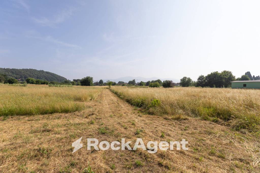 immagine annuncio 4 di 14