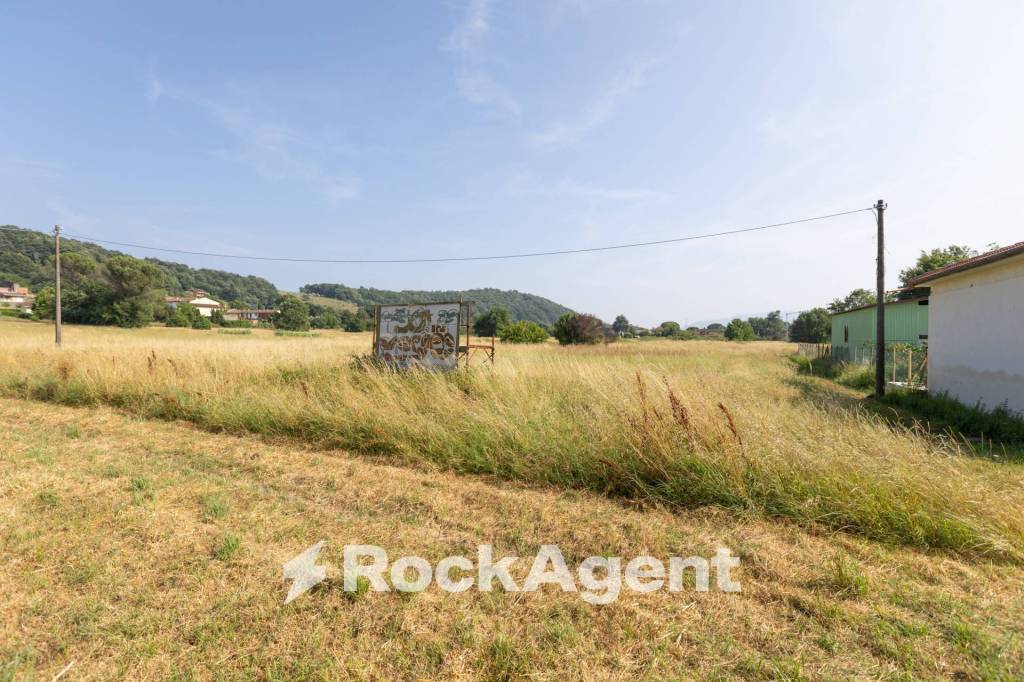 immagine annuncio 7 di 14