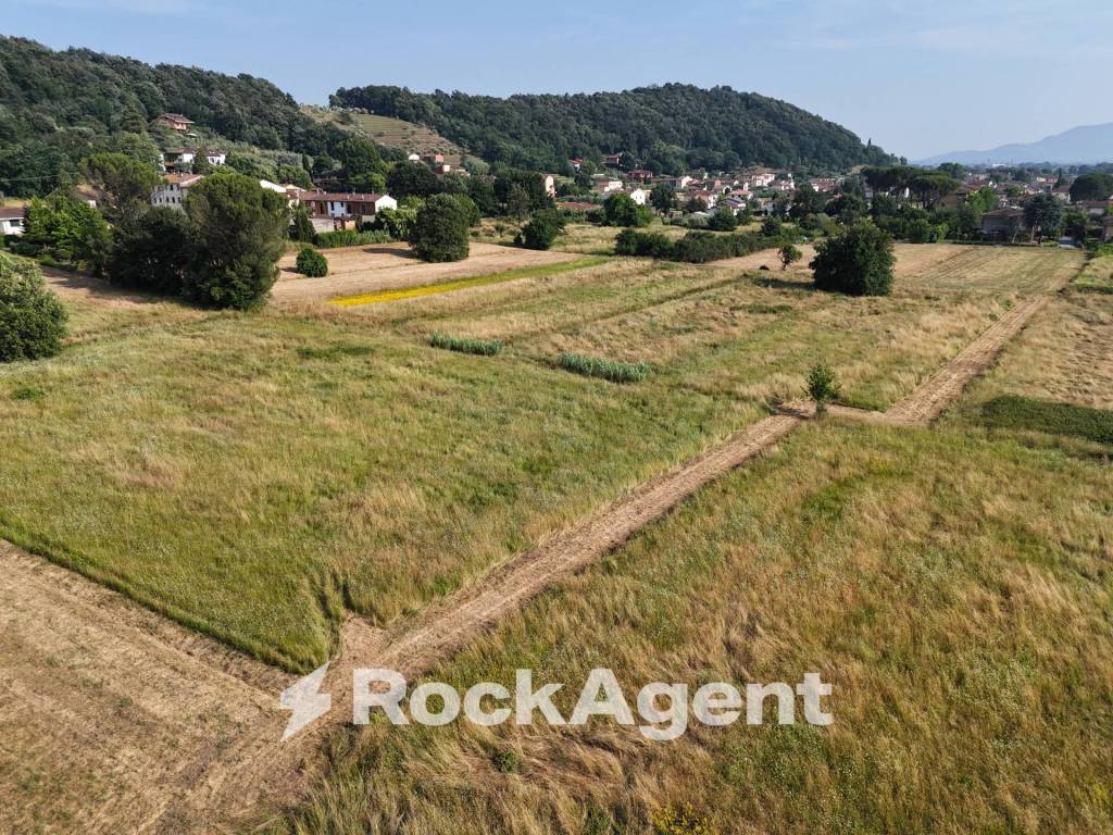 immagine annuncio 11 di 14