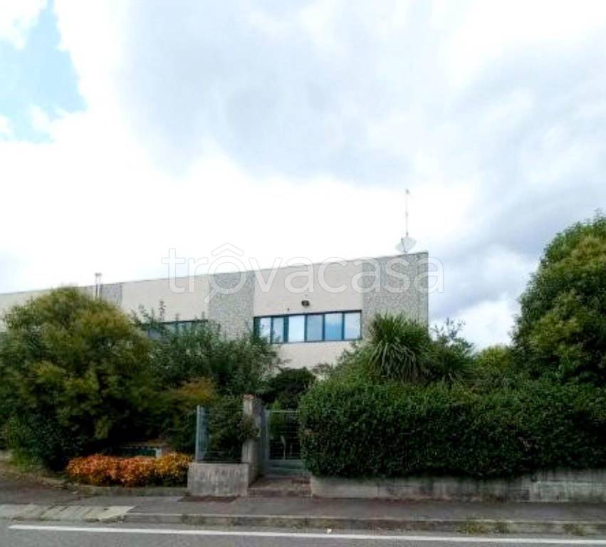 immagine annuncio 2 di 14