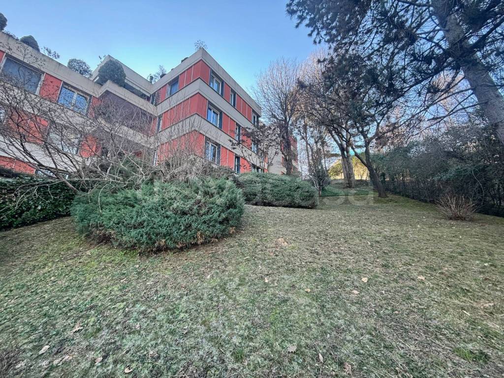 immagine annuncio 13 di 15