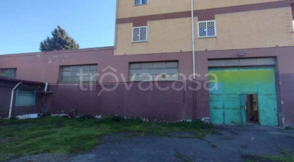 immagine annuncio 5 di 13