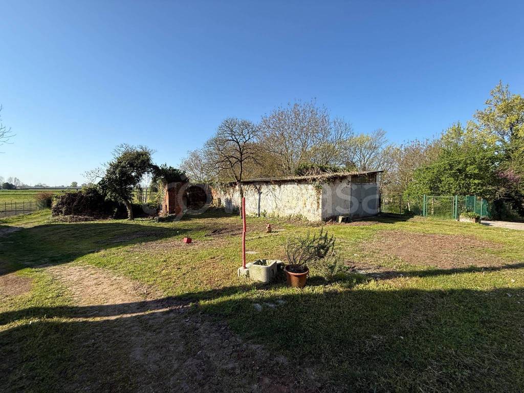 immagine annuncio 6 di 10