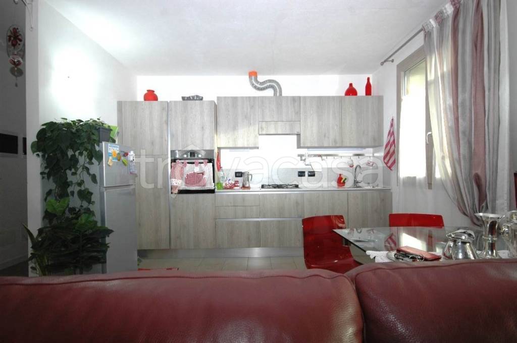 immagine annuncio 3 di 14