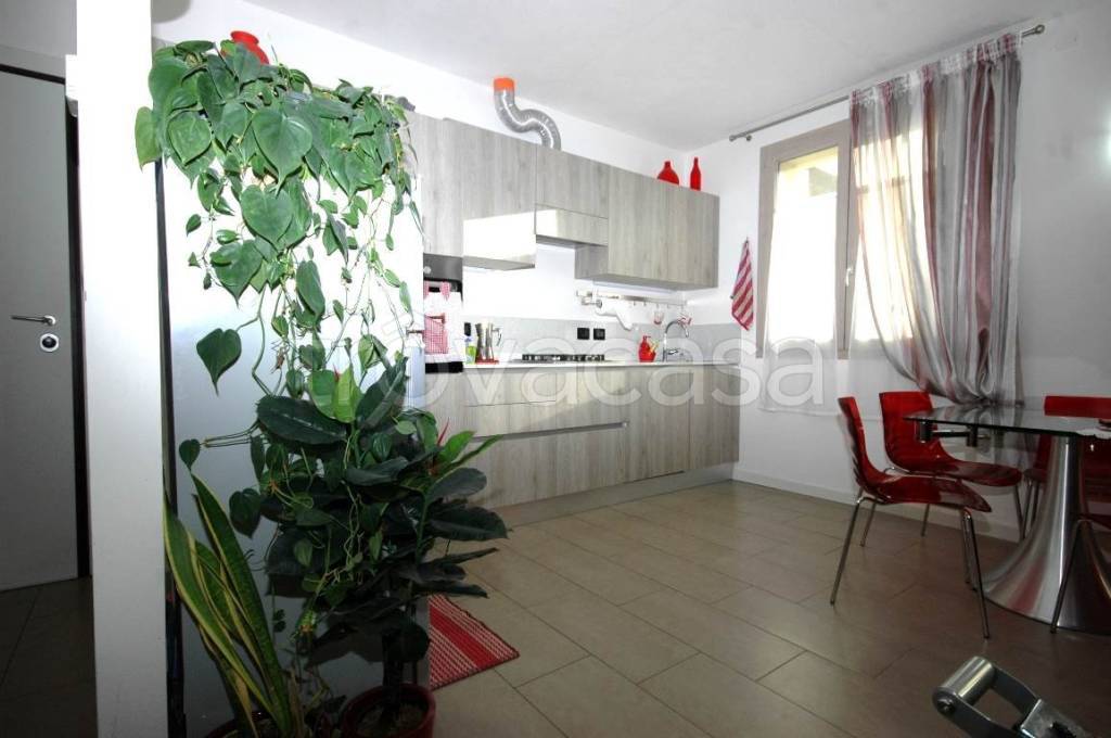 immagine annuncio 4 di 14