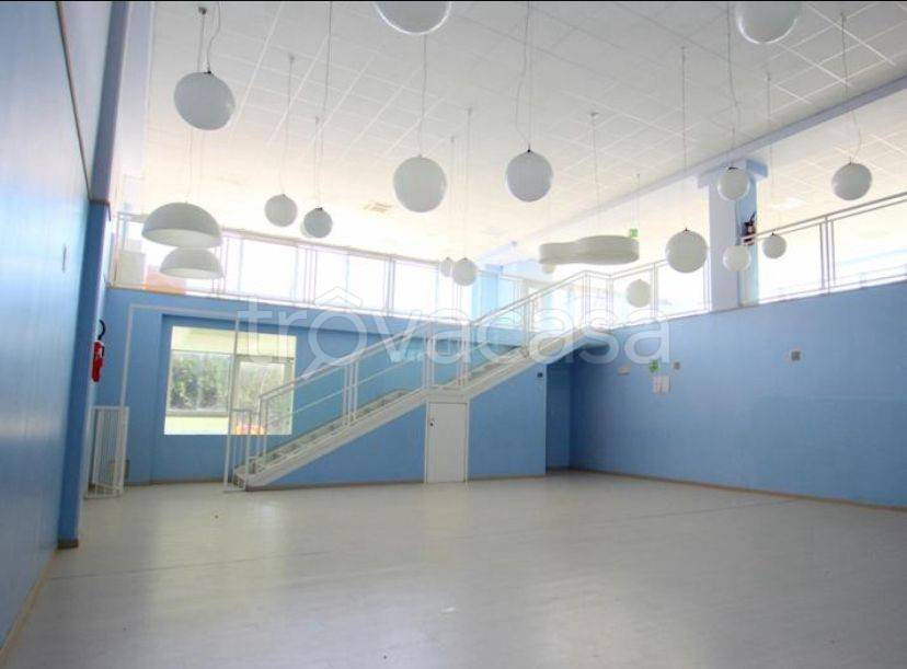 immagine annuncio 2 di 8