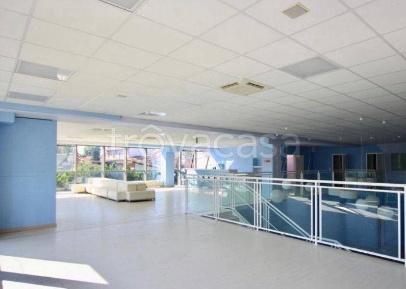 immagine annuncio 7 di 8