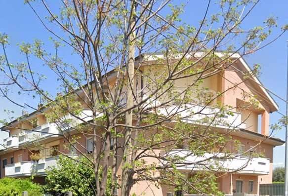 immagine annuncio 7 di 14