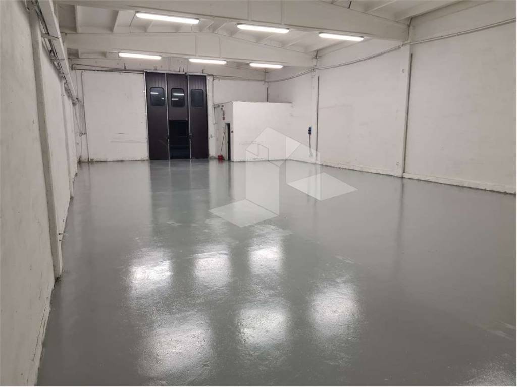 immagine annuncio 5 di 7