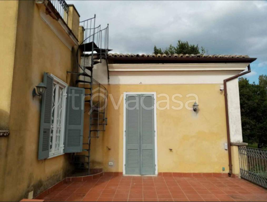 immagine annuncio 11 di 13