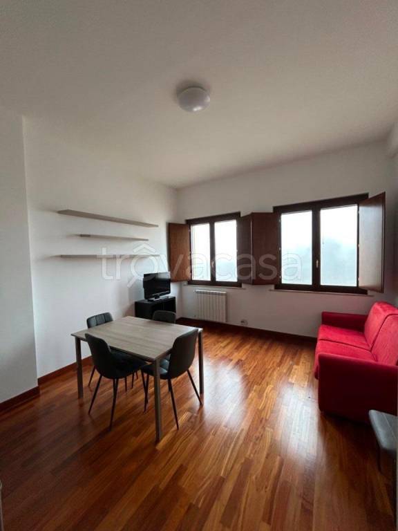 immagine annuncio 4 di 8