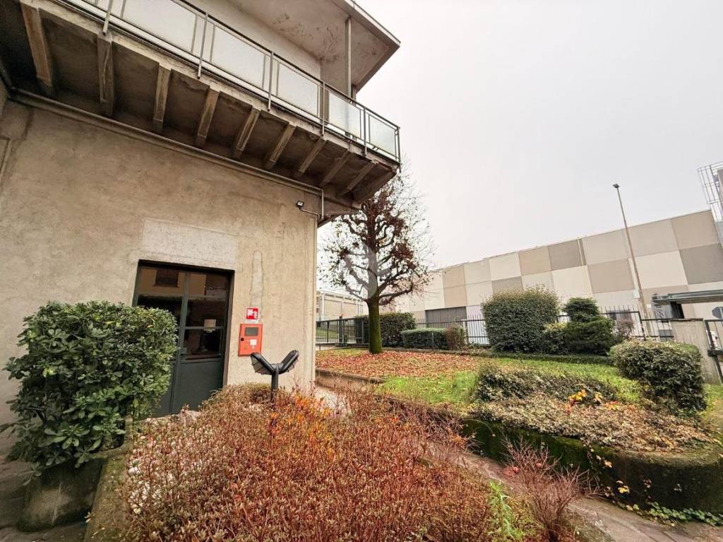 immagine annuncio 1 di 15