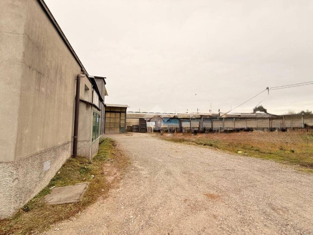 immagine annuncio 8 di 15