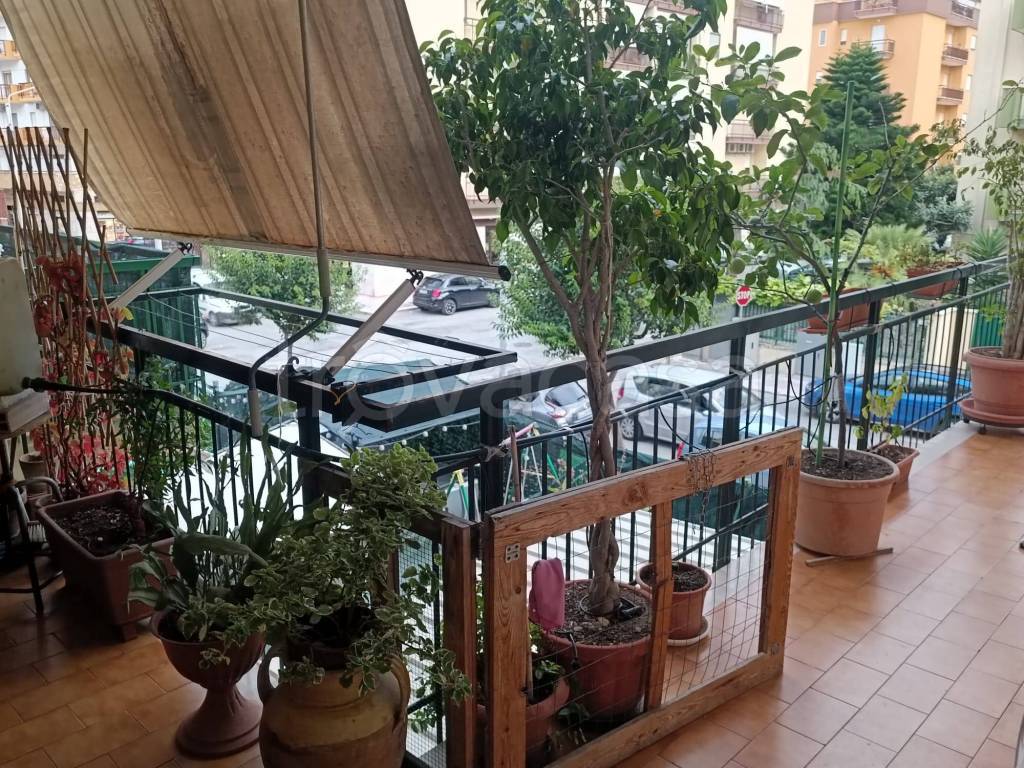 immagine annuncio 7 di 8