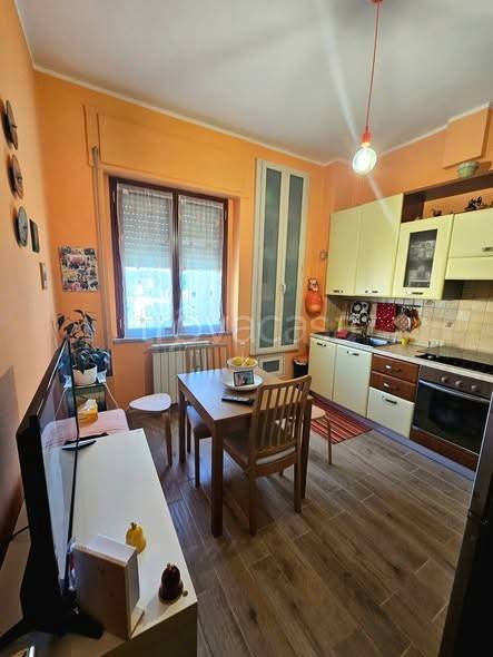 immagine annuncio 1 di 12