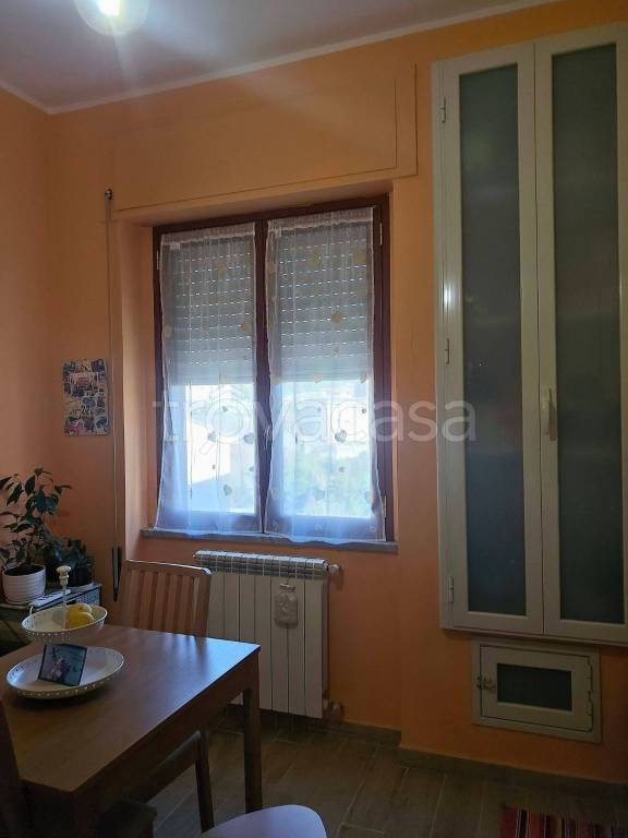 immagine annuncio 5 di 12