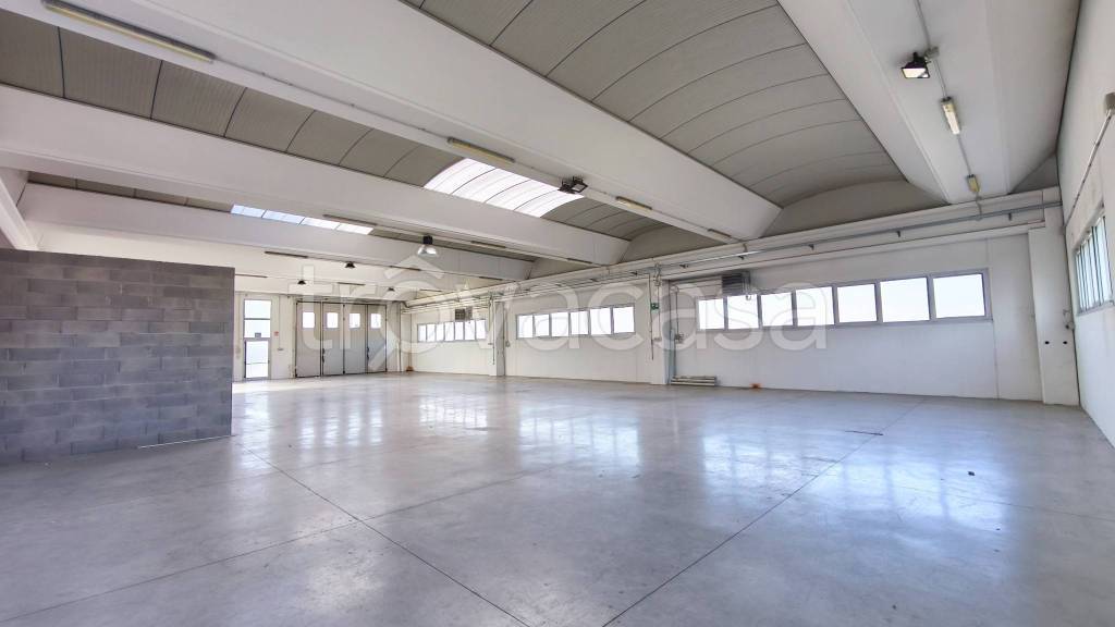 immagine annuncio 6 di 13