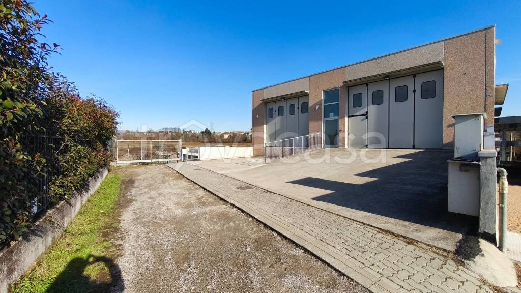 immagine annuncio 11 di 13