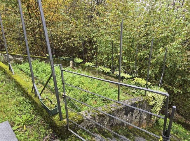 immagine annuncio 9 di 14