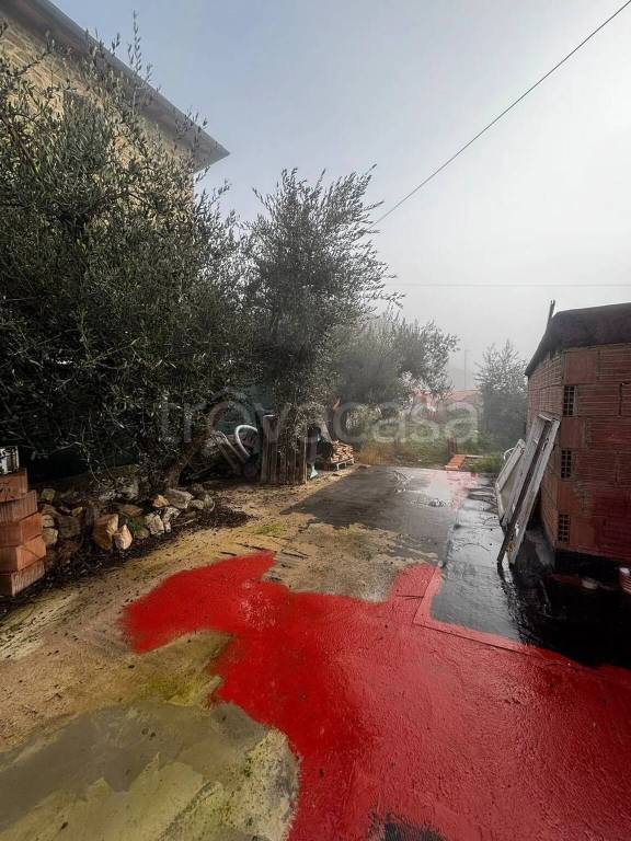 immagine annuncio 5 di 9