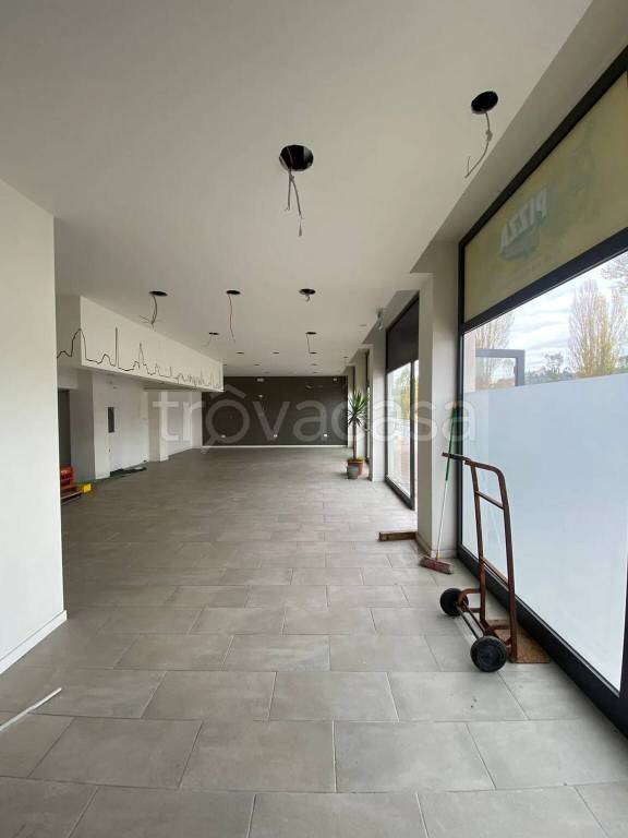 immagine annuncio 6 di 14