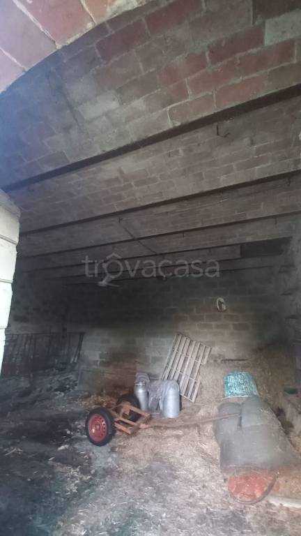 immagine annuncio 7 di 8