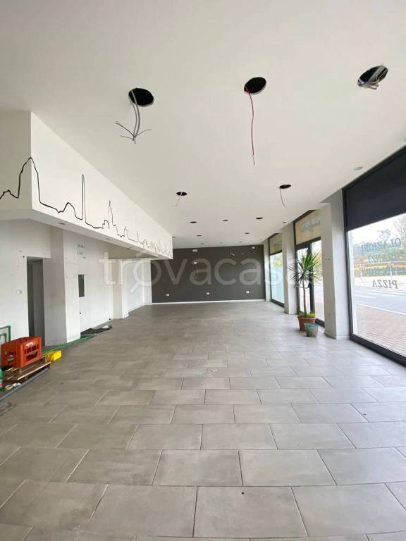 immagine annuncio 12 di 14