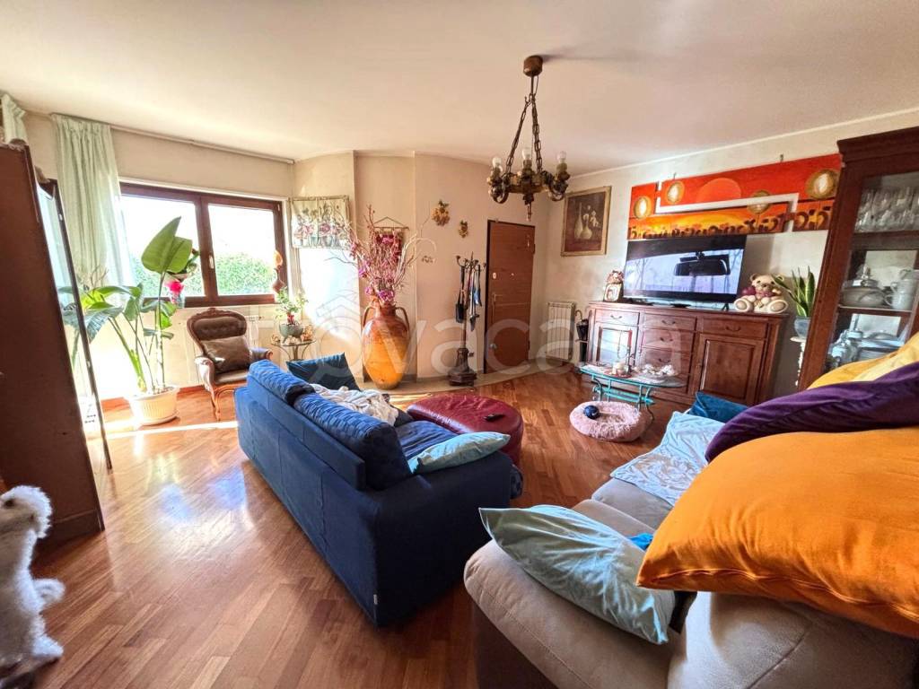 immagine annuncio 3 di 15