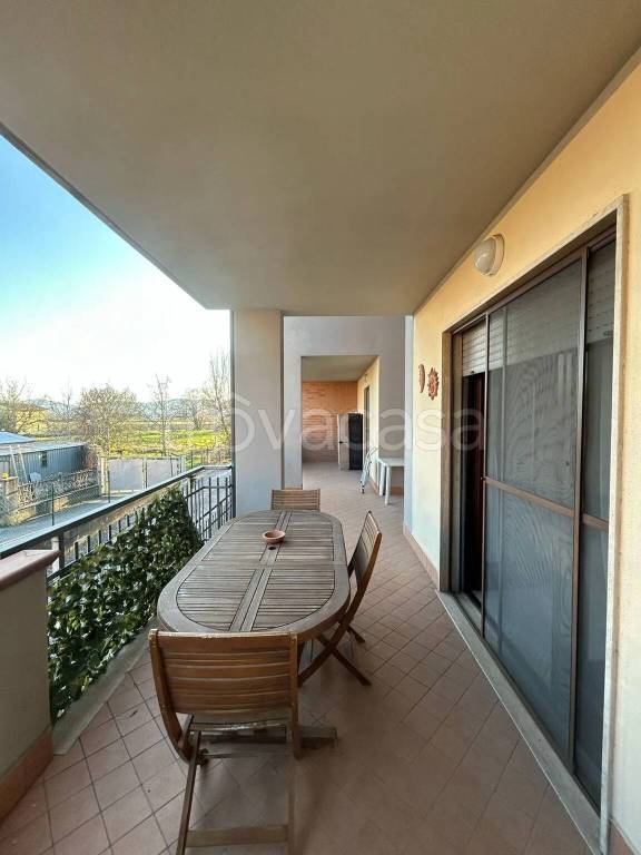 immagine annuncio 4 di 13