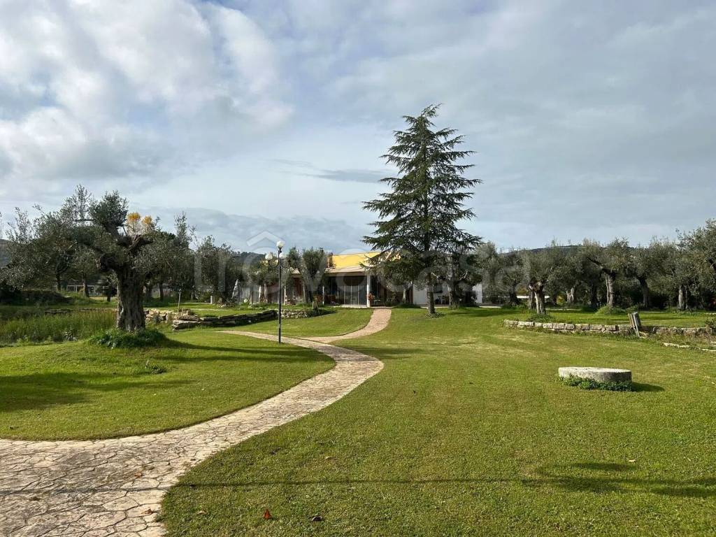 immagine annuncio 2 di 11