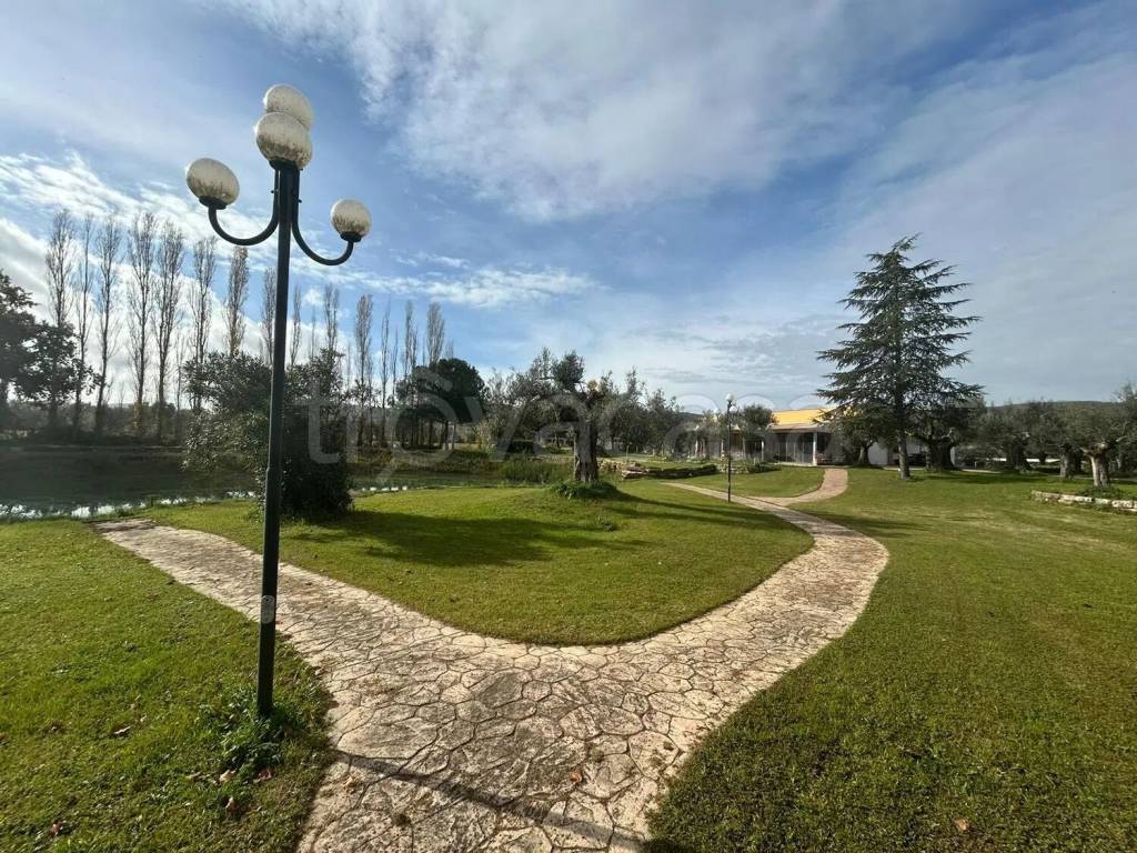 immagine annuncio 7 di 11