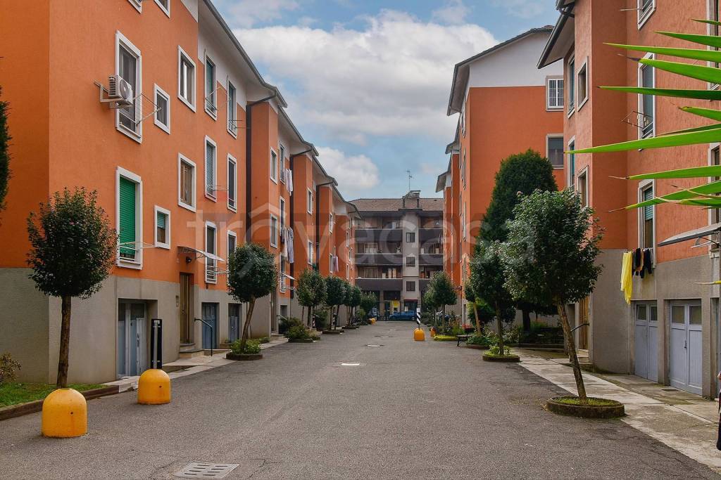 immagine annuncio 12 di 15