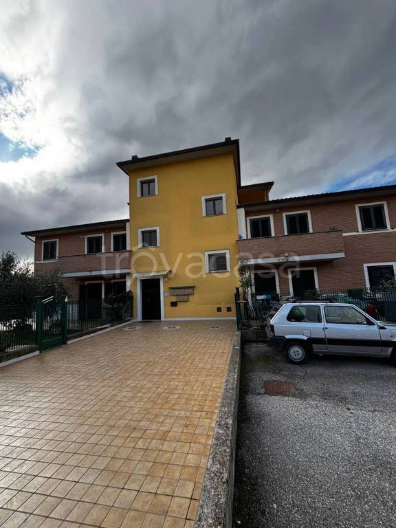 immagine annuncio 9 di 13