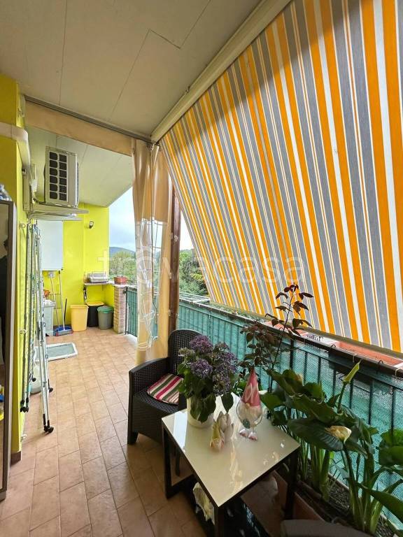 immagine annuncio 12 di 14