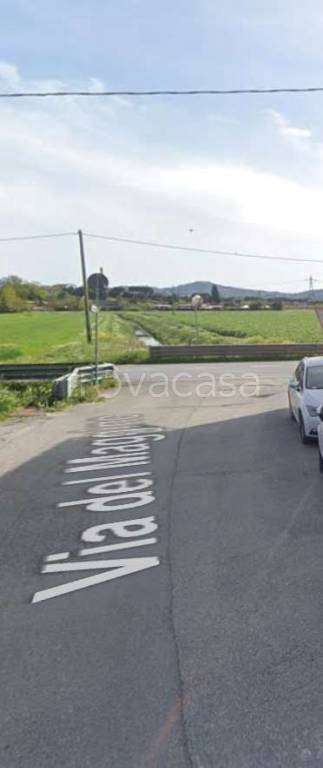 immagine annuncio 7 di 13