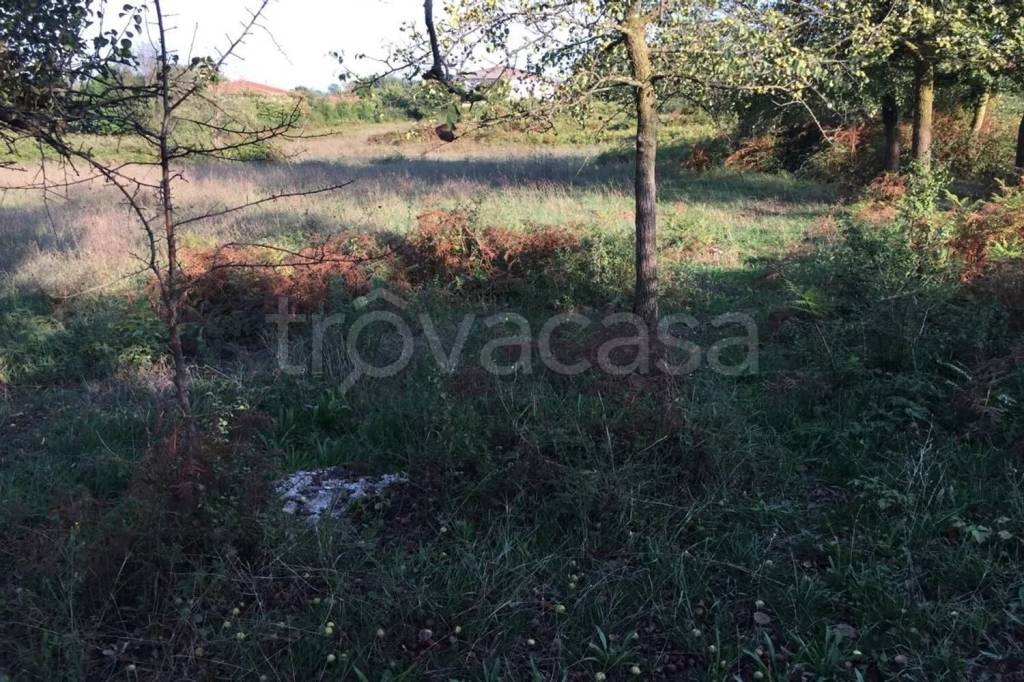 immagine annuncio 1 di 8