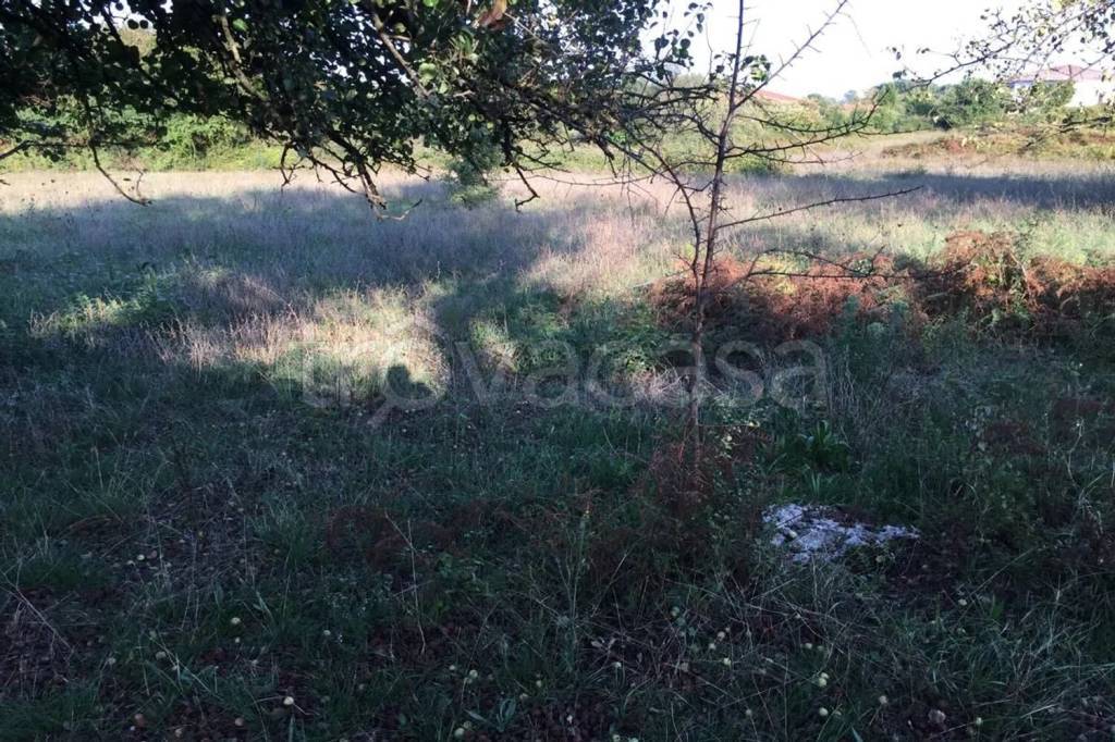 immagine annuncio 2 di 8