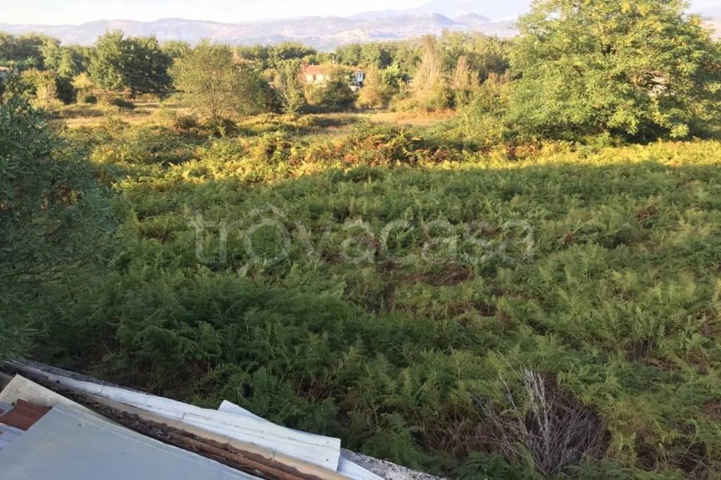 immagine annuncio 4 di 8