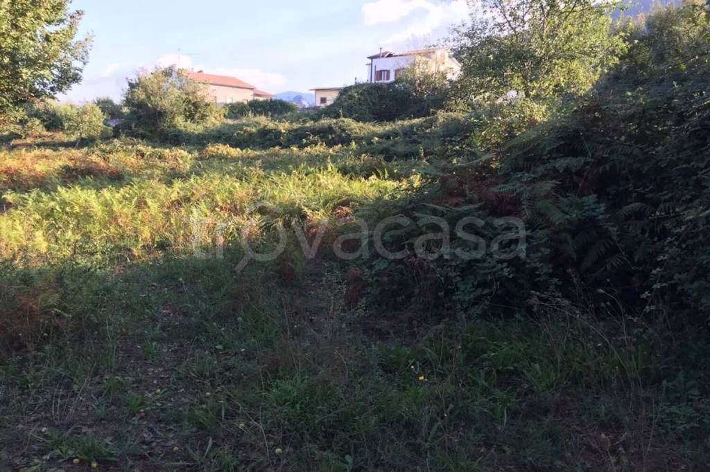 immagine annuncio 7 di 8