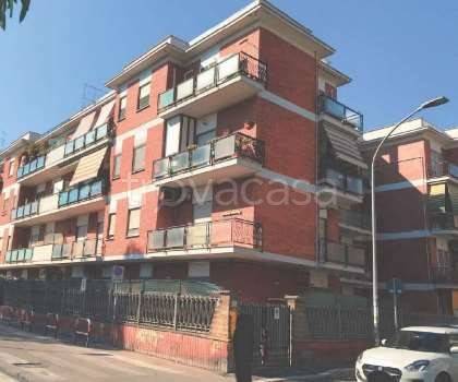 immagine annuncio 3 di 14