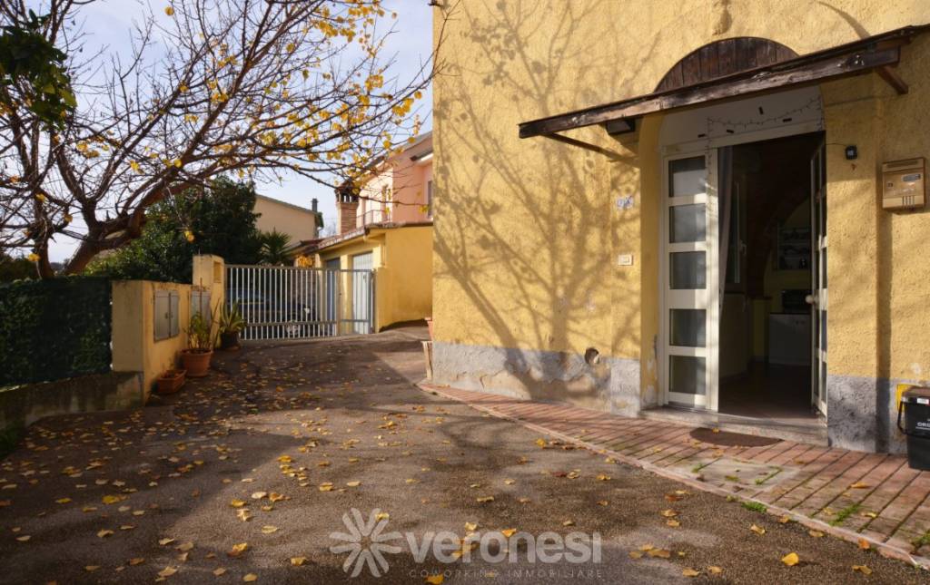 immagine annuncio 7 di 11