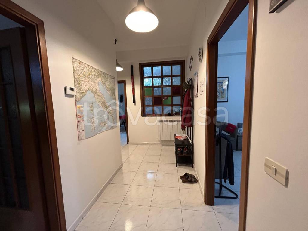 immagine annuncio 6 di 14