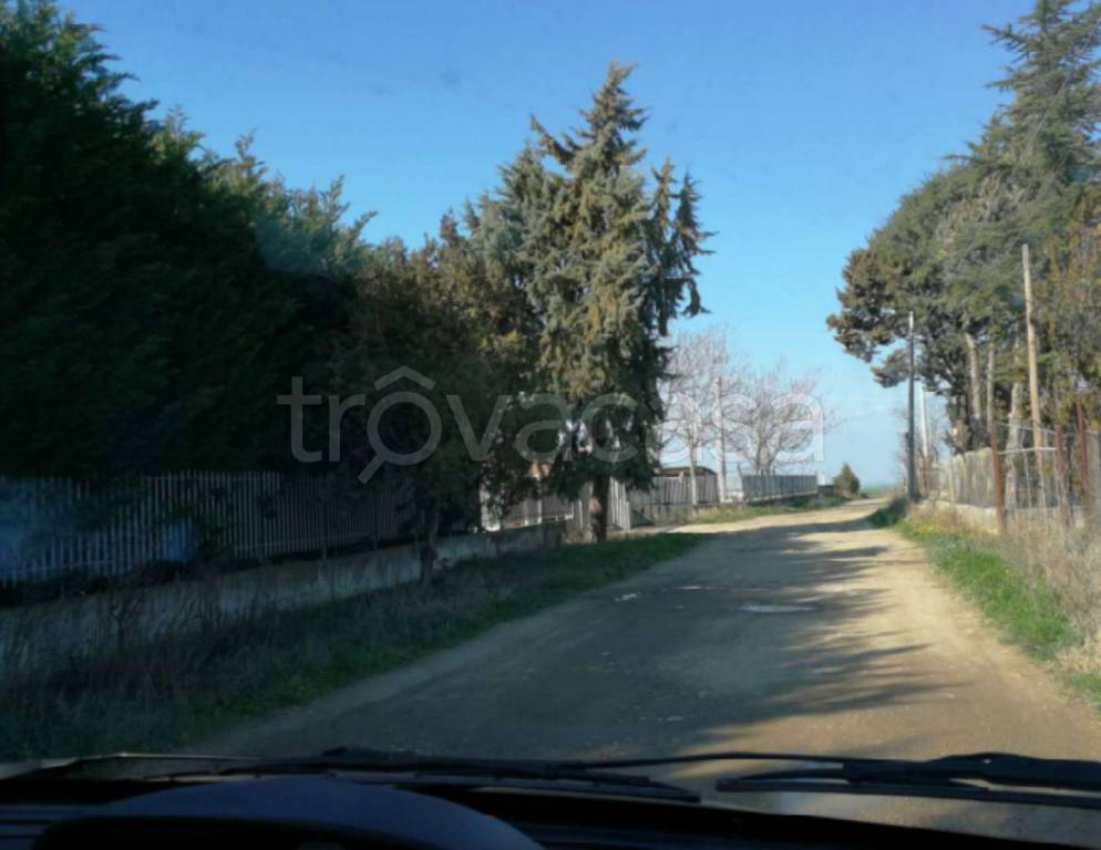 immagine annuncio 2 di 11