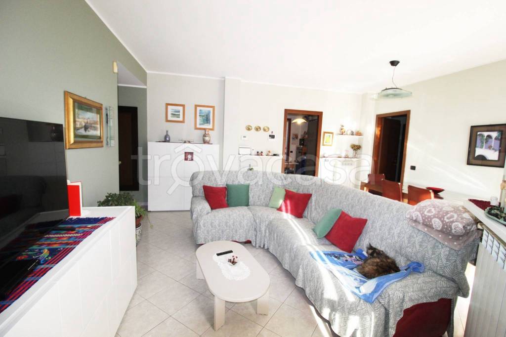 immagine annuncio 1 di 13