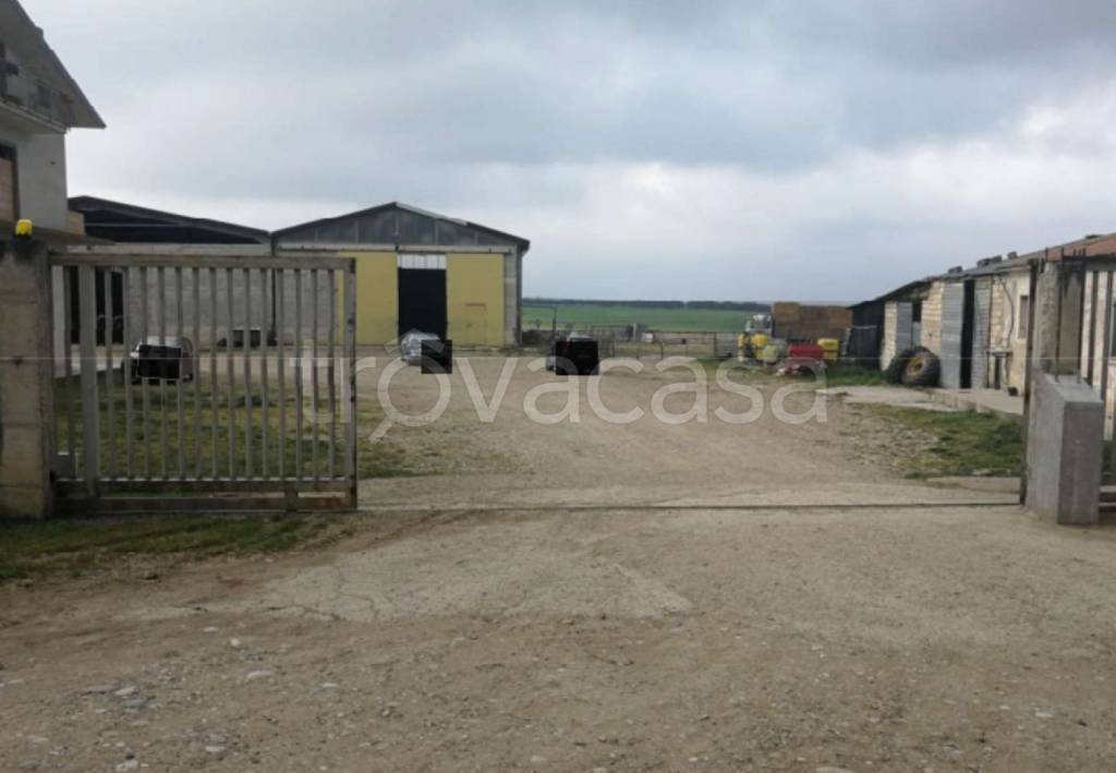 immagine annuncio 3 di 11