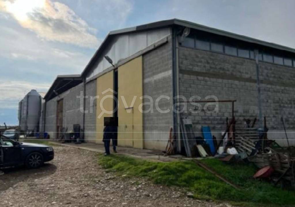 immagine annuncio 4 di 11