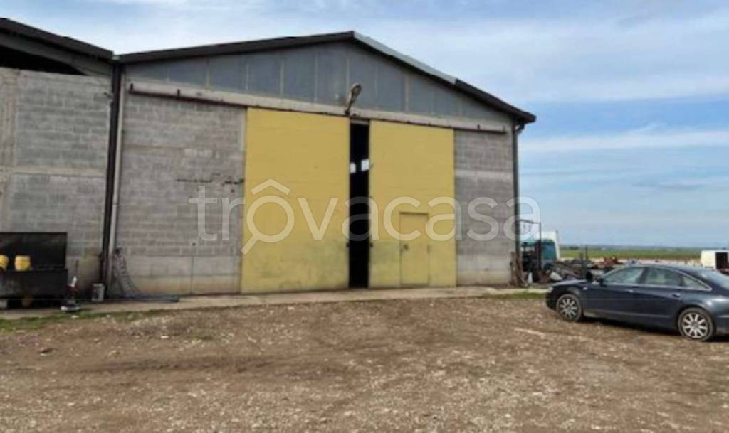 immagine annuncio 5 di 11