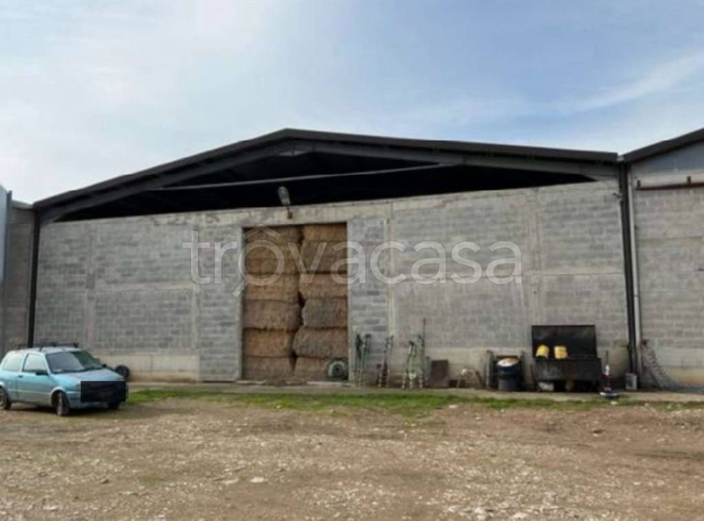 immagine annuncio 6 di 11