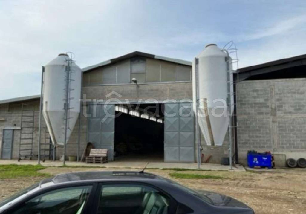 immagine annuncio 7 di 11